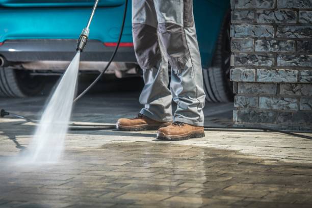 Best Driveway Cleaning and Restoration in Oelwein, IA